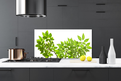 Kitchen Splashback Branches leaves floral brown green