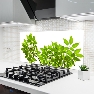 Kitchen Splashback Branches leaves floral brown green