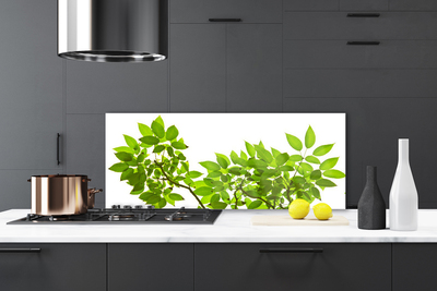 Kitchen Splashback Branches leaves floral brown green