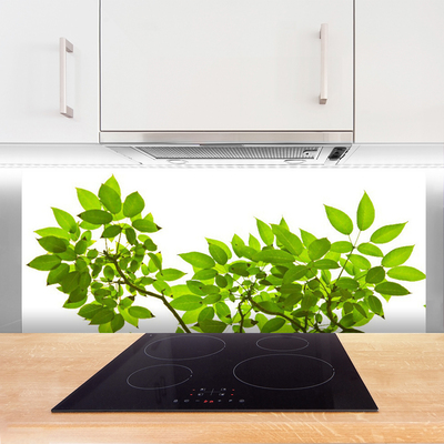 Kitchen Splashback Branches leaves floral brown green