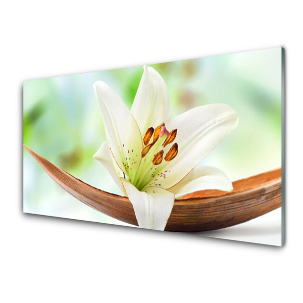 Kitchen Splashback Flower floral white