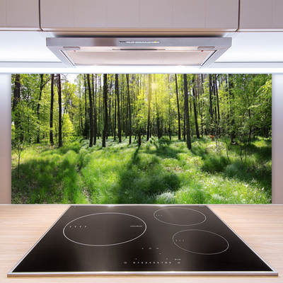 Kitchen Splashback Forest nature brown green