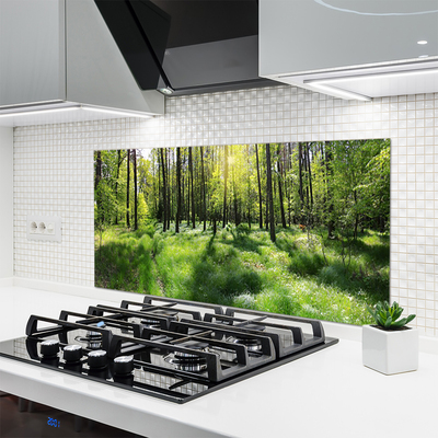 Kitchen Splashback Forest nature brown green