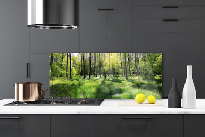 Kitchen Splashback Forest nature brown green