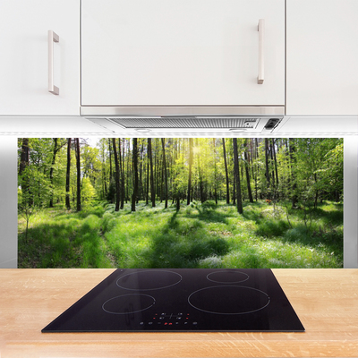 Kitchen Splashback Forest nature brown green