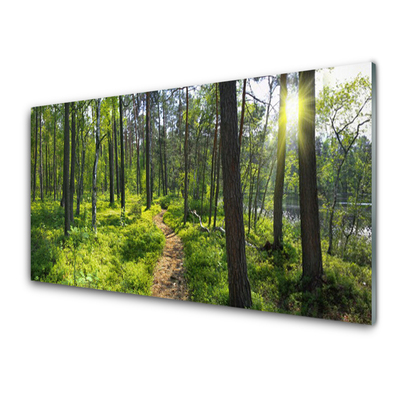 Kitchen Splashback Forest nature brown green