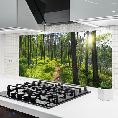 Kitchen Splashback Forest nature brown green