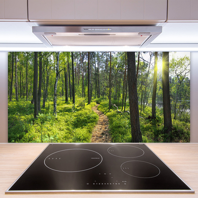 Kitchen Splashback Forest nature brown green