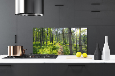 Kitchen Splashback Forest nature brown green