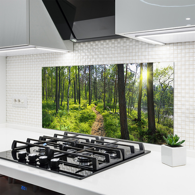 Kitchen Splashback Forest nature brown green