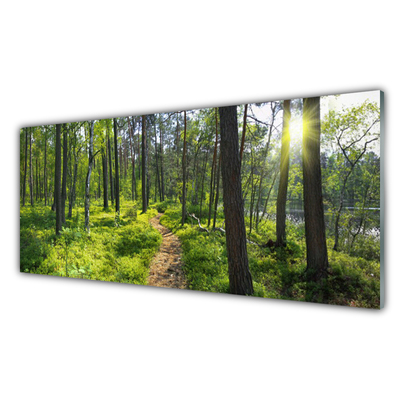 Kitchen Splashback Forest nature brown green