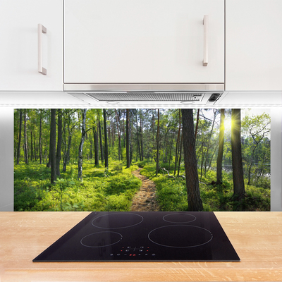 Kitchen Splashback Forest nature brown green