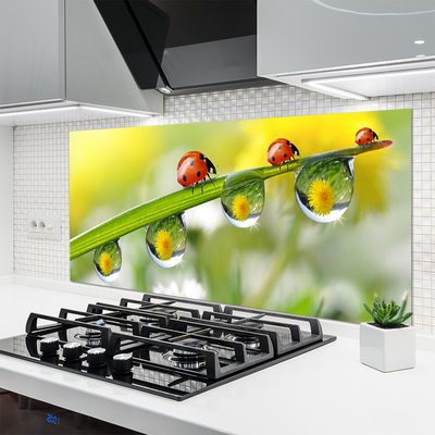 Kitchen Splashback Leaf ladybug dewdropfen nature green red black