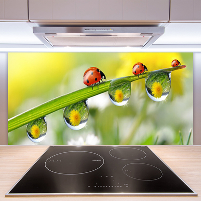 Kitchen Splashback Leaf ladybug dewdropfen nature green red black