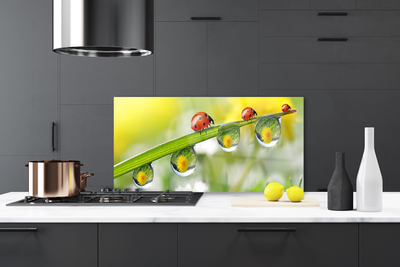 Kitchen Splashback Leaf ladybug dewdropfen nature green red black