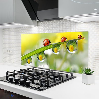 Kitchen Splashback Leaf ladybug dewdropfen nature green red black