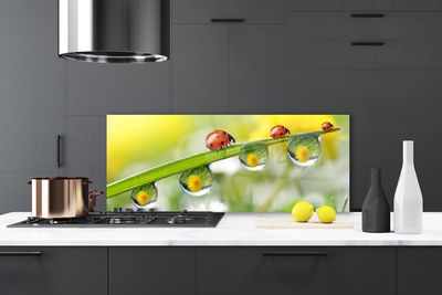 Kitchen Splashback Leaf ladybug dewdropfen nature green red black