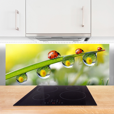 Kitchen Splashback Leaf ladybug dewdropfen nature green red black