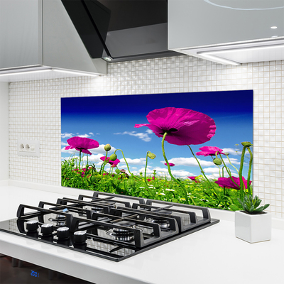 Kitchen Splashback Meadow flowers nature red green