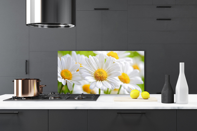 Kitchen Splashback Daisy floral yellow white