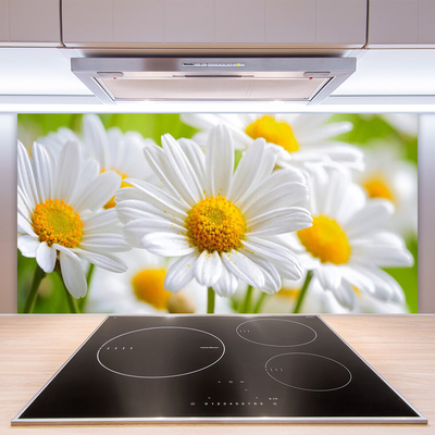 Kitchen Splashback Daisy floral yellow white