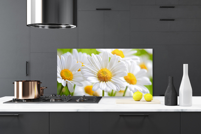 Kitchen Splashback Daisy floral yellow white