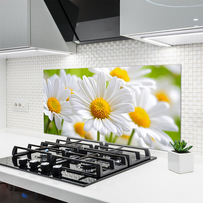 Kitchen Splashback Daisy floral yellow white