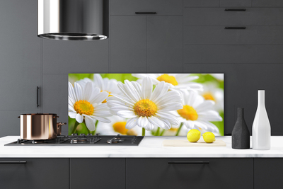 Kitchen Splashback Daisy floral yellow white