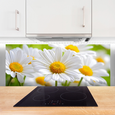 Kitchen Splashback Daisy floral yellow white