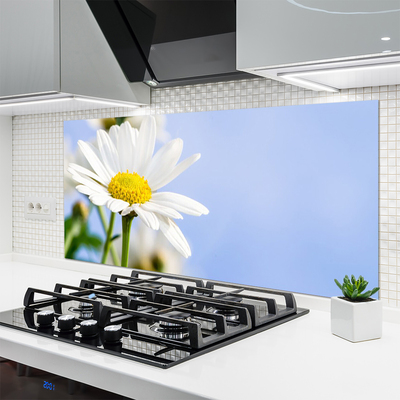 Kitchen Splashback Daisy floral yellow white