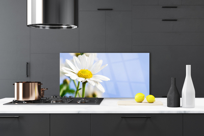 Kitchen Splashback Daisy floral yellow white