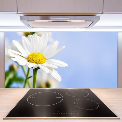 Kitchen Splashback Daisy floral yellow white