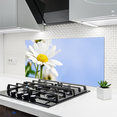 Kitchen Splashback Daisy floral yellow white