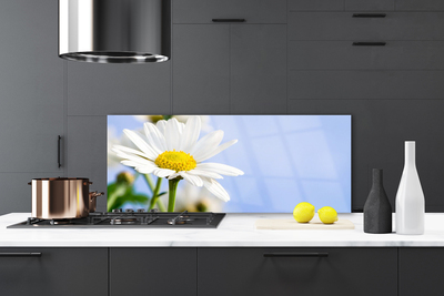 Kitchen Splashback Daisy floral yellow white