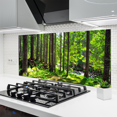 Kitchen Splashback Forest nature brown green