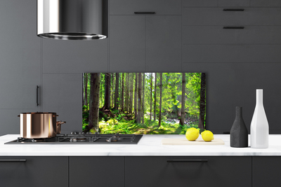 Kitchen Splashback Forest nature brown green