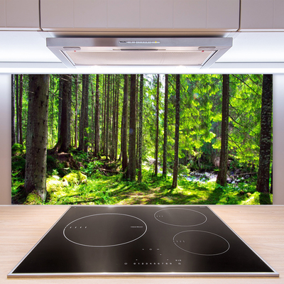 Kitchen Splashback Forest nature brown green