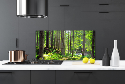 Kitchen Splashback Forest nature brown green