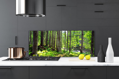 Kitchen Splashback Forest nature brown green