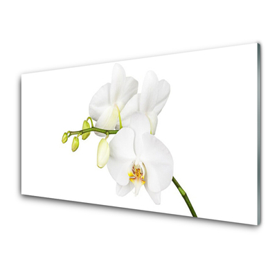 Kitchen Splashback Flowers floral white