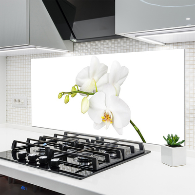 Kitchen Splashback Flowers floral white