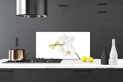 Kitchen Splashback Flowers floral white