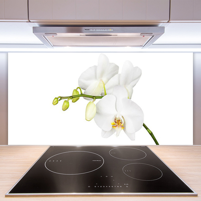 Kitchen Splashback Flowers floral white