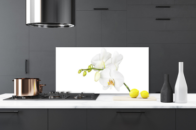 Kitchen Splashback Flowers floral white