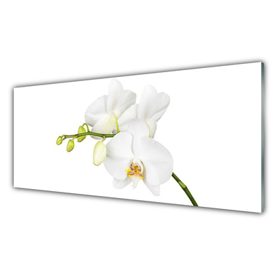 Kitchen Splashback Flowers floral white