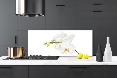 Kitchen Splashback Flowers floral white