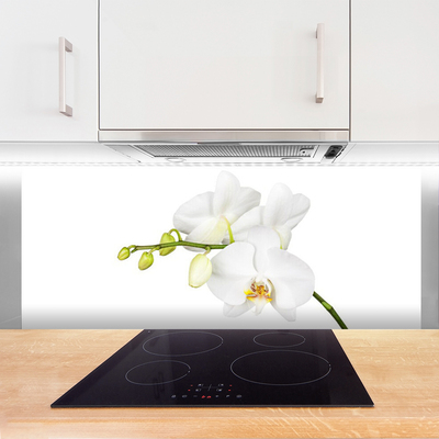 Kitchen Splashback Flowers floral white