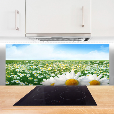 Kitchen Splashback Meadow daisies floral green white yellow