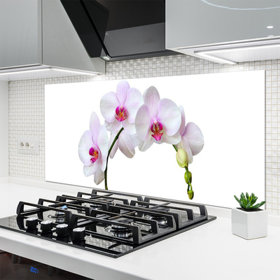 Kitchen Splashback Flowers floral white pink