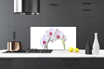 Kitchen Splashback Flowers floral white pink